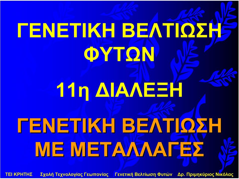 11η ΙΑΛΕΞΗ 