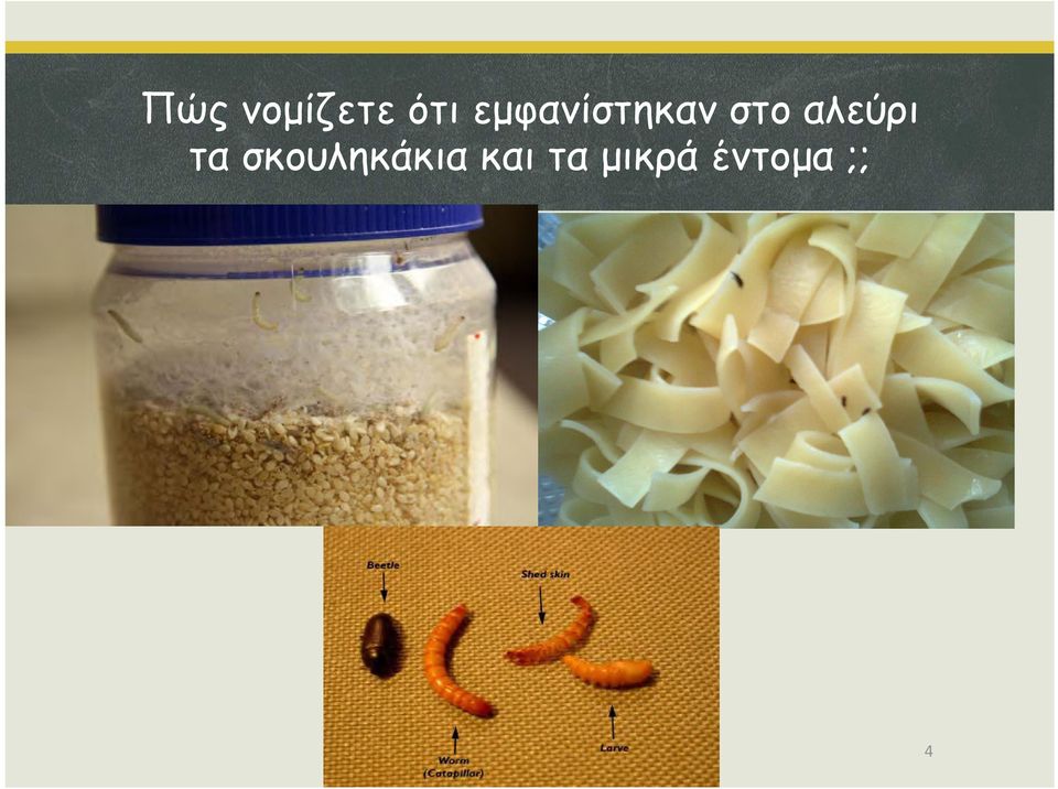 αλεύρι τα