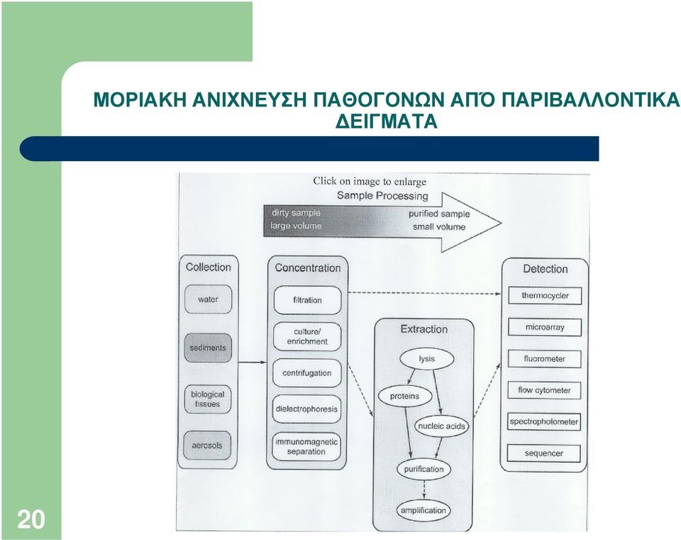 ΠΑΘΟΓΟΝΩΝ ΑΠΌ