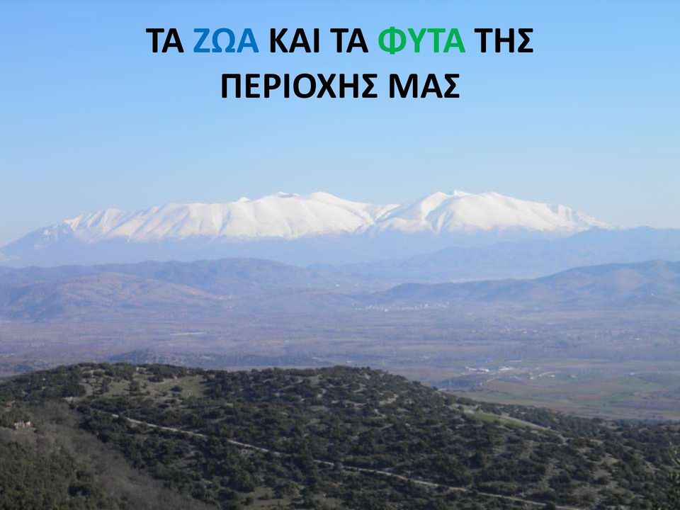 ΦΥΤΑ ΤΗΣ