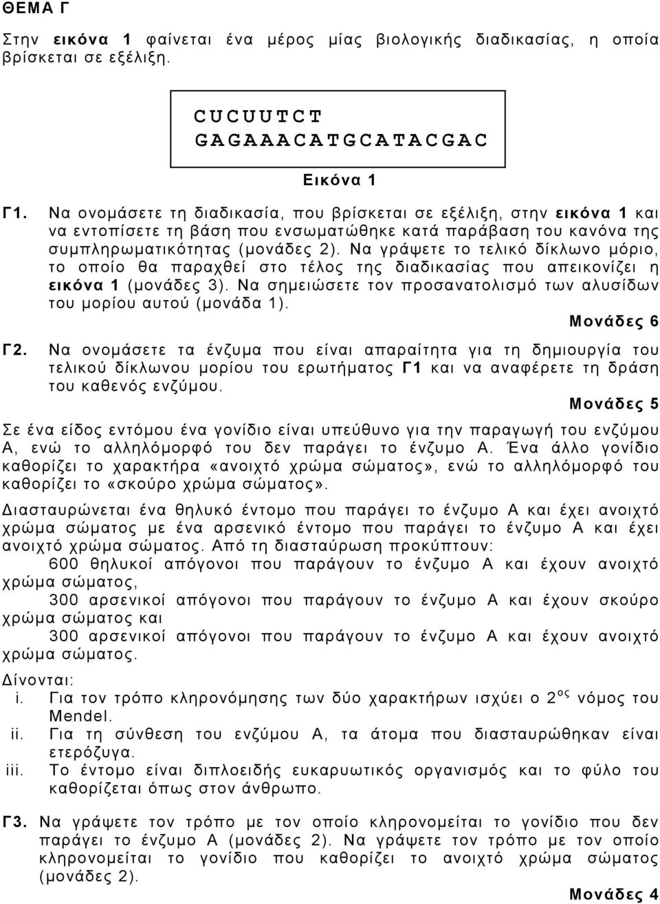 Να γράψετε το τελικό δίκλωνο μόριο, το οποίο θα παραχθεί στο τέλος της διαδικασίας που απεικονίζει η εικόνα 1 (μονάδες 3). Να σημειώσετε τον προσανατολισμό των αλυσίδων του μορίου αυτού (μονάδα 1).