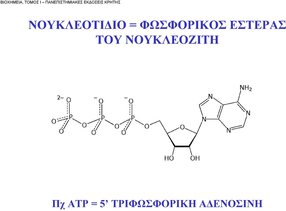 ΝΟΥΚΛΕΟΤΙΔΙΟ = ΦΩΣΦΟΡΙΚΟΣ ΕΣΤΕΡΑΣ
