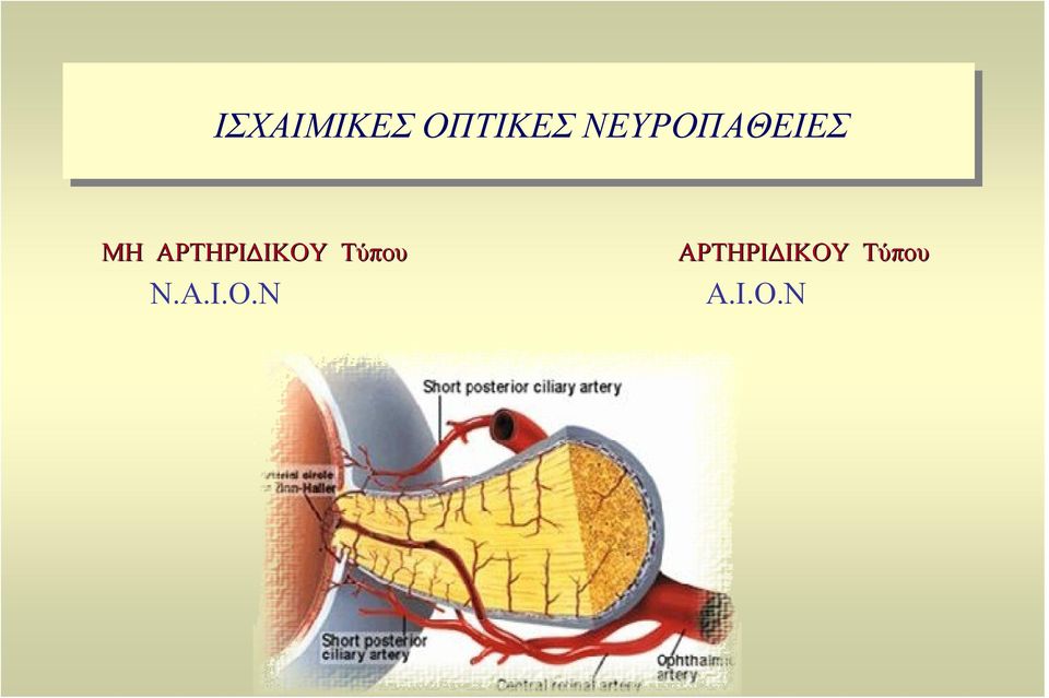 ΑΡΤΗΡΙ ΙΚΟΥ