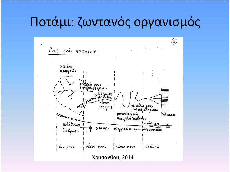 οργανισμός