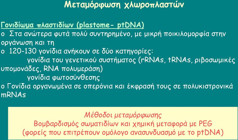 υπομονάδες, RNA πολυμεράση) γονίδια φωτοσύνθεσης o Γονίδια οργανωμένα σε οπερόνια και έκφρασή τους σε πολυκιστρονικά mrnas