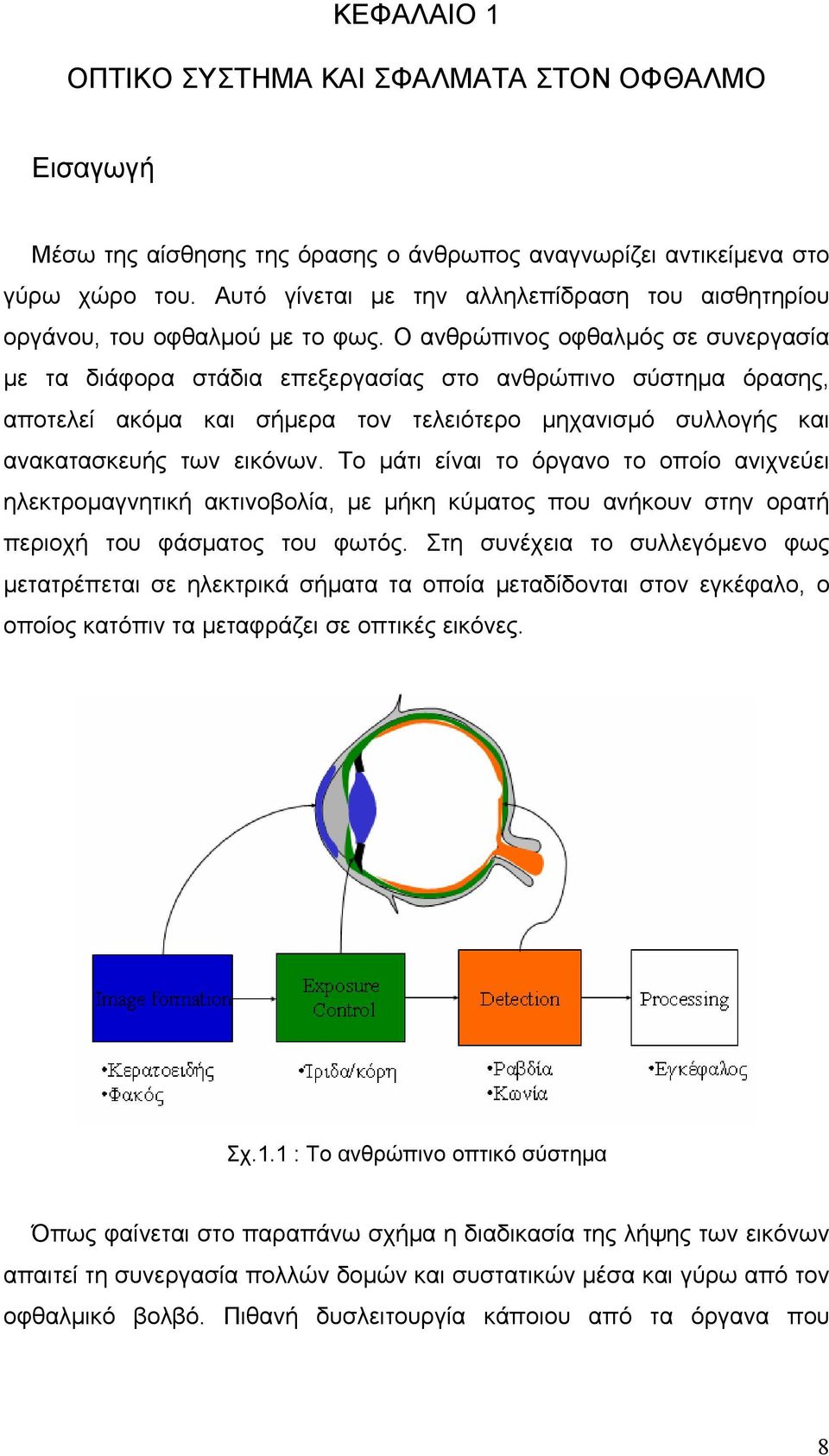 Ο ανθρώπινος οφθαλμός σε συνεργασία με τα διάφορα στάδια επεξεργασίας στο ανθρώπινο σύστημα όρασης, αποτελεί ακόμα και σήμερα τον τελειότερο μηχανισμό συλλογής και ανακατασκευής των εικόνων.