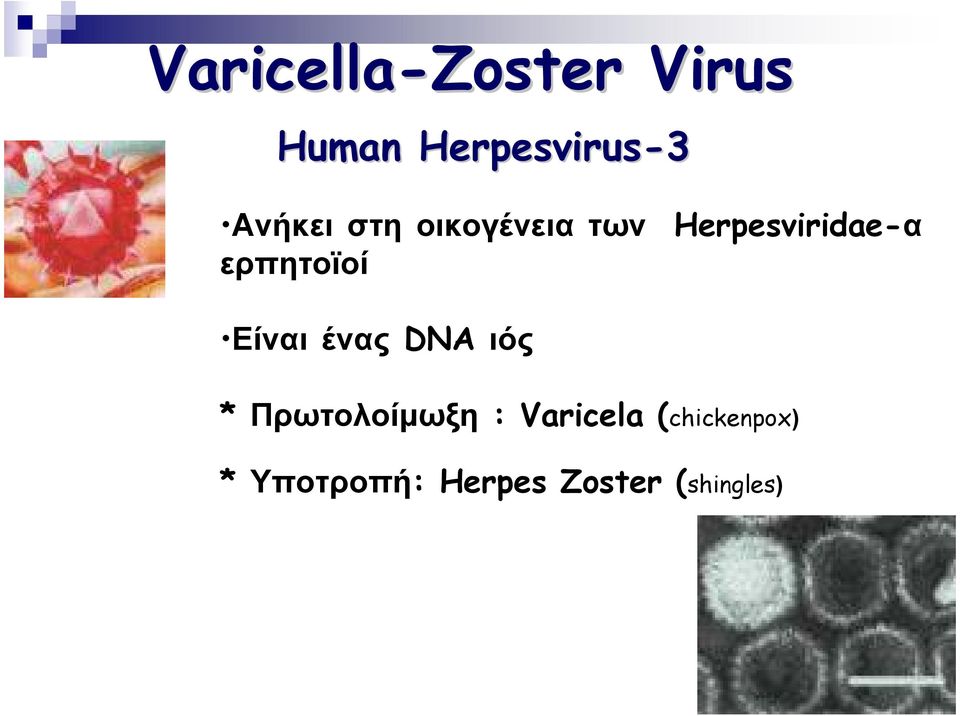 Herpesviridae-α Είναι ένας DNA ιός *