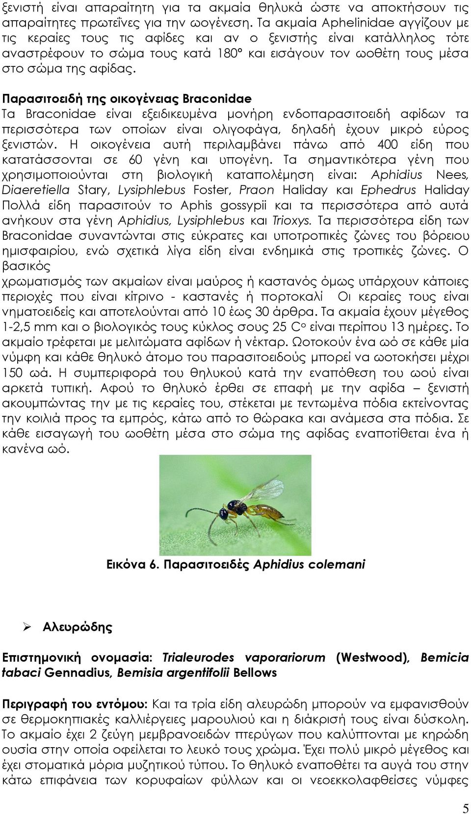 Παρασιτοειδή της οικογένειας Braconidae Τα Braconidae είναι εξειδικευμένα μονήρη ενδοπαρασιτοειδή αφίδων τα περισσότερα των οποίων είναι ολιγοφάγα, δηλαδή έχουν μικρό εύρος ξενιστών.