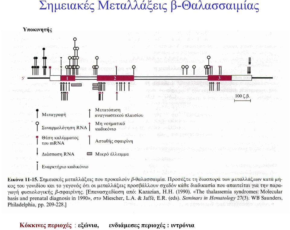 Κόκκινες περιοχές :