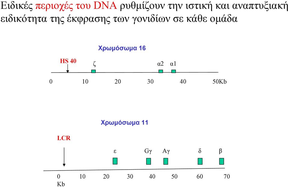 κάθε ομάδα Χρωμόσωμα 16 HS 40 ζ α2 α1 0 10 20 30 40