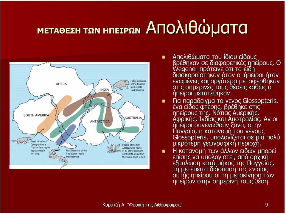 Για παράδειγµα το γένος Glossopteris, ένα είδος φτέρης, βρέθηκε στις ηπείρους της. Νότιας Αµερικής, Αφρικής, Ινδίας και Αυστραλίας.