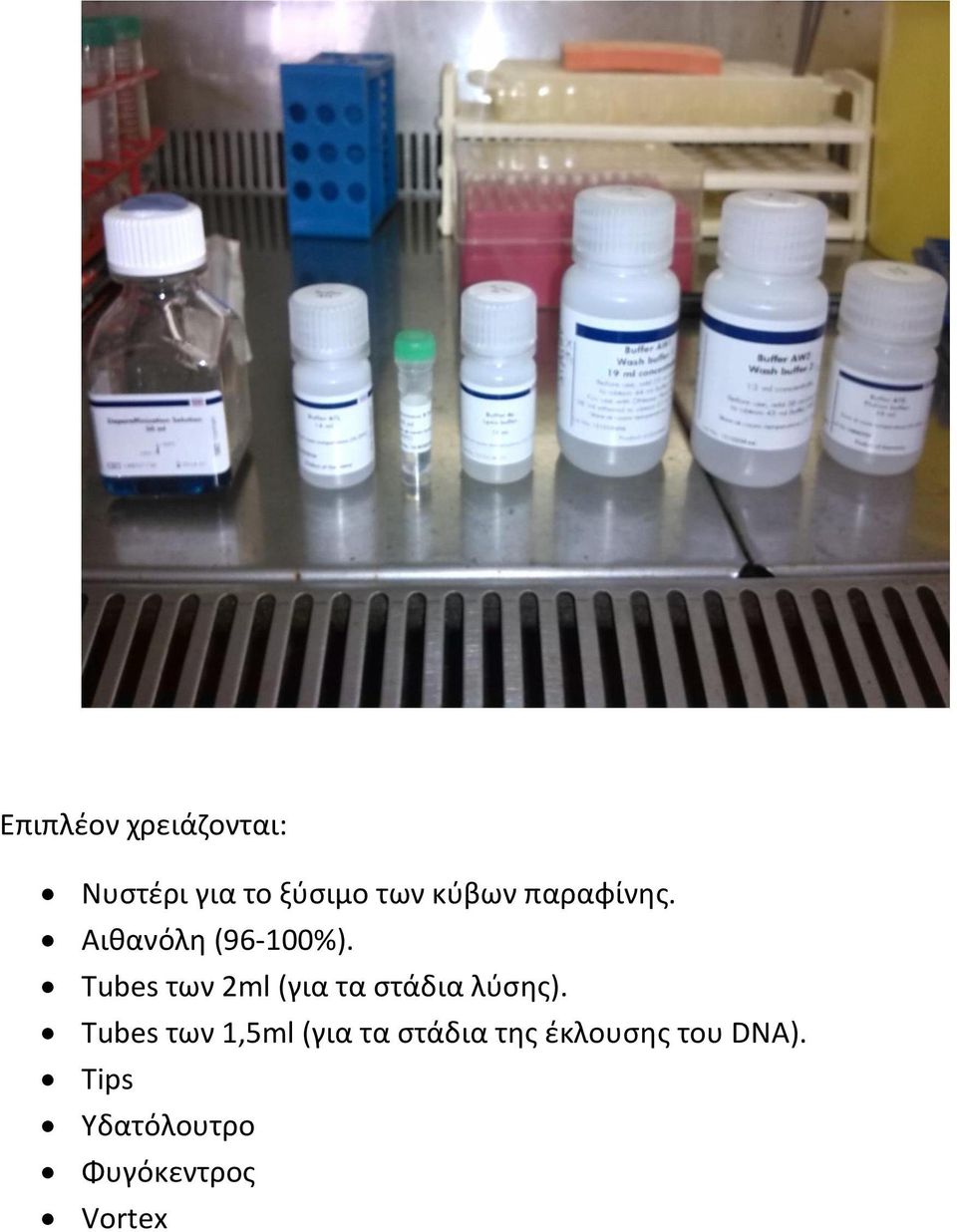 Tubes των 2ml (για τα στάδια λύσης).