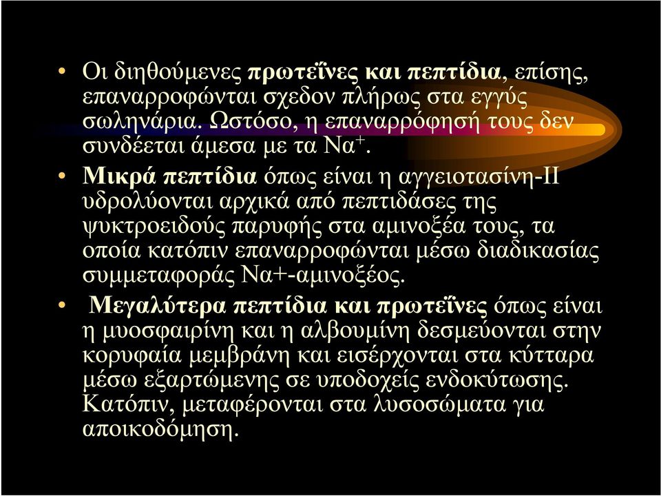 Μικρά πεπτίδια όπως είναι η αγγειοτασίνη-ιι υδρολύονται αρχικά από πεπτιδάσες της ψυκτροειδούς παρυφής στα αμινοξέα τους, τα οποία κατόπιν