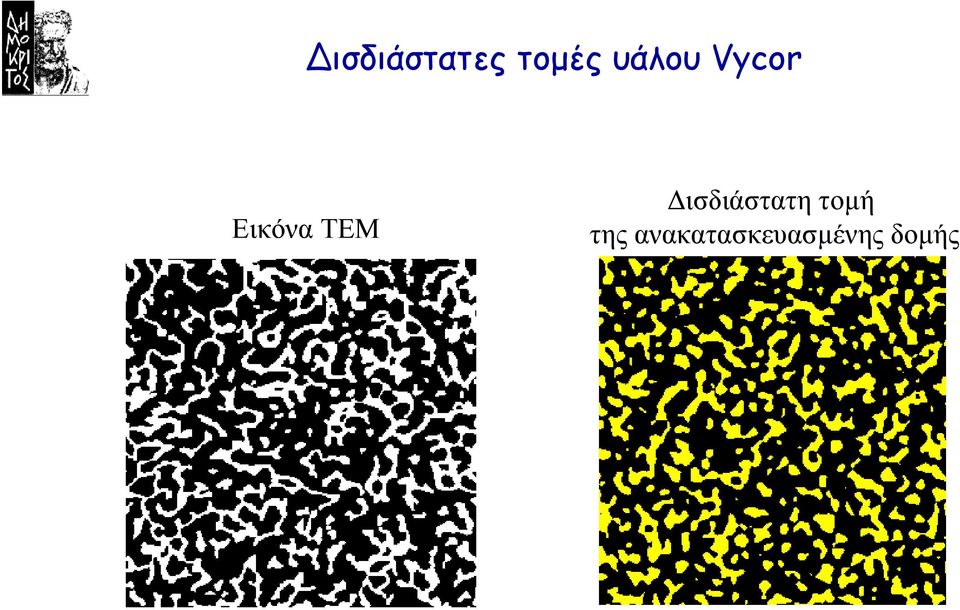 TEM ισδιάστατη τοµή