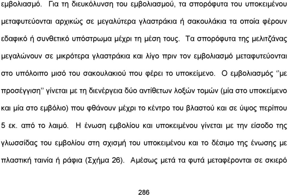 Τα σπορόφυτα της μελιτζάνας μεγαλώνουν σε μικρότερα γλαστράκια και λίγο πριν τον εμβολιασμό μεταφυτεύονται στο υπόλοιπο μισό του σακουλακιού που φέρει το υποκείμενο.