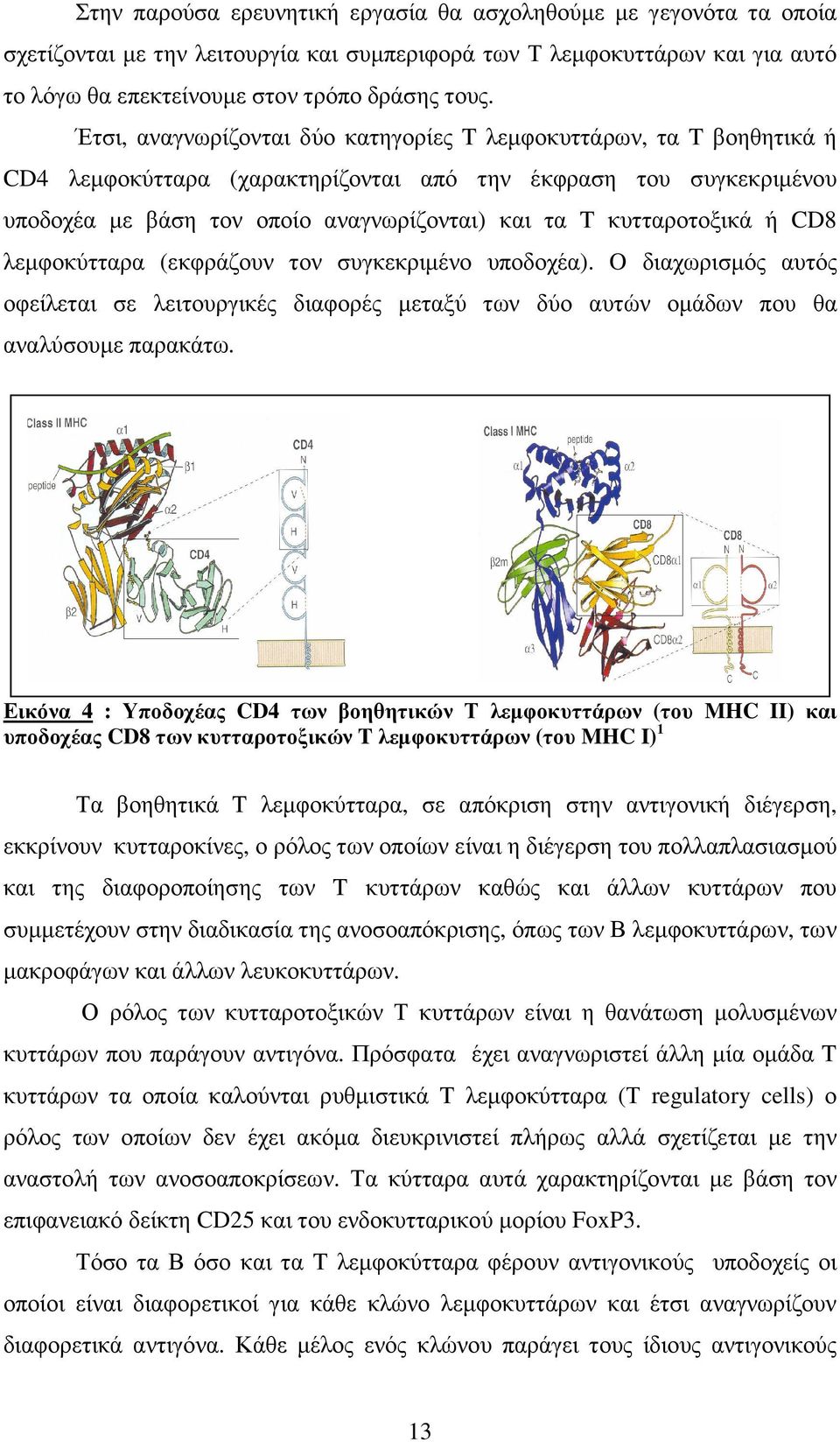 κυτταροτοξικά ή CD8 λεµφοκύτταρα (εκφράζουν τον συγκεκριµένο υποδοχέα). O διαχωρισµός αυτός οφείλεται σε λειτουργικές διαφορές µεταξύ των δύο αυτών οµάδων που θα αναλύσουµε παρακάτω.