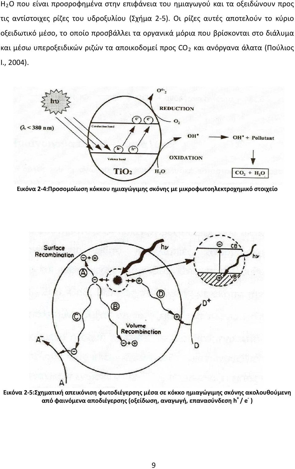 τα αποικοδομεί προς CO 2 και ανόργανα άλατα (Πούλιος Ι., 2004).