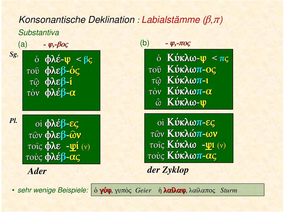 φλέβ-ες φλεβ-ῶν φλε -ψί (ν) φλέβ-ας οἱ τῶν φλε τοῖς φλε τοὺς φλέ Ader οἱ Κύκλωπ-ες τῶν Κυκλώπ-ων τοῖς