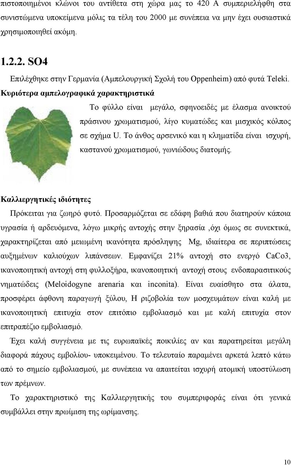 Το άνθος αρσενικό και η κληματίδα είναι ισχυρή, καστανού χρωματισμού, γωνιώδους διατομής. Καλλιεργητικές ιδιότητες Πρόκειται για ζωηρό φυτό.