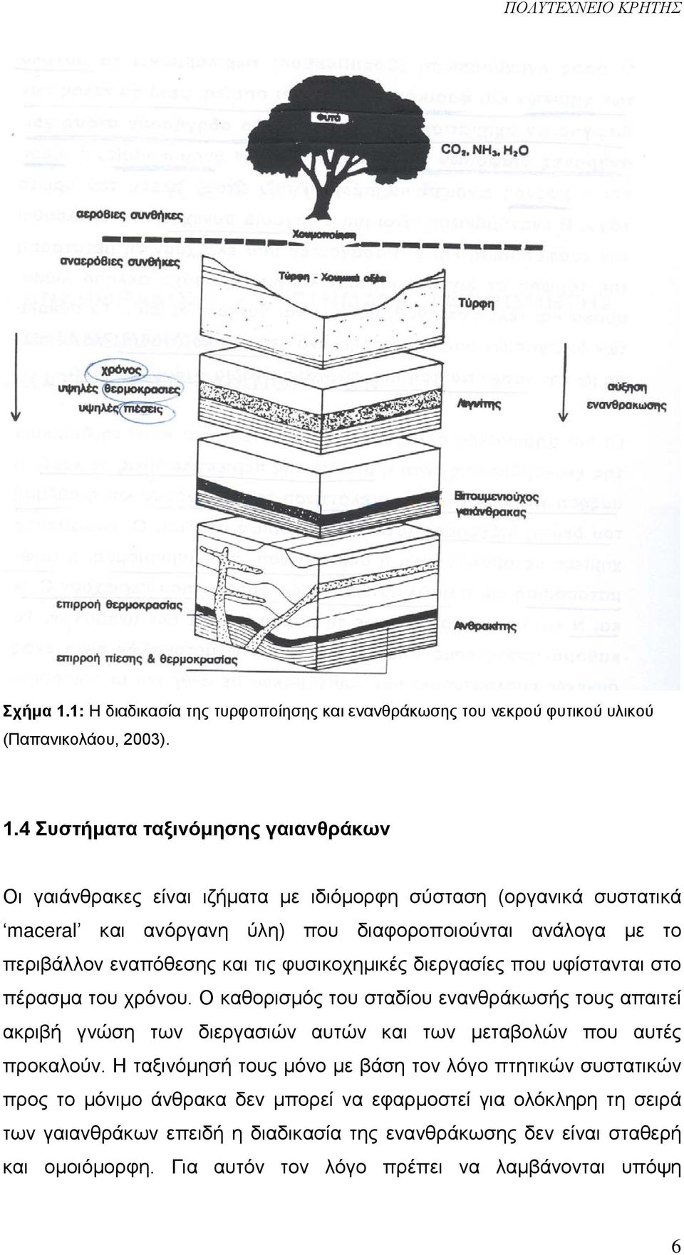 4 Συστήματα ταξινόμησης γαιανθράκων Οι γαιάνθρακες είναι ιζήματα με ιδιόμορφη σύσταση (οργανικά συστατικά maceral και ανόργανη ύλη) που διαφοροποιούνται ανάλογα με το περιβάλλον εναπόθεσης