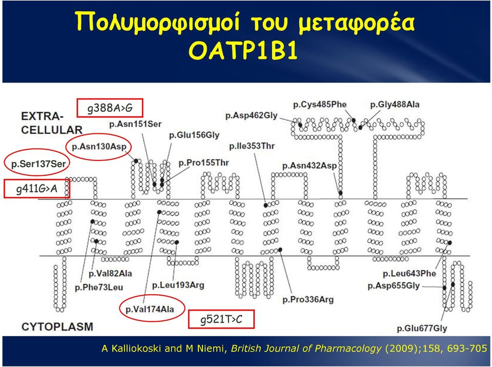 ser137ser g411g>a g521t>c A