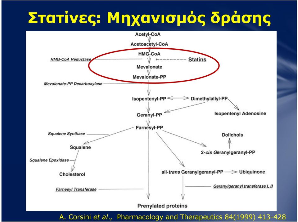 , Pharmacology and