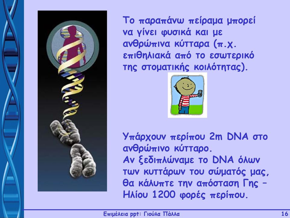 Υπάρχουν περίπου 2m DNA στο ανθρώπινο κύτταρο.