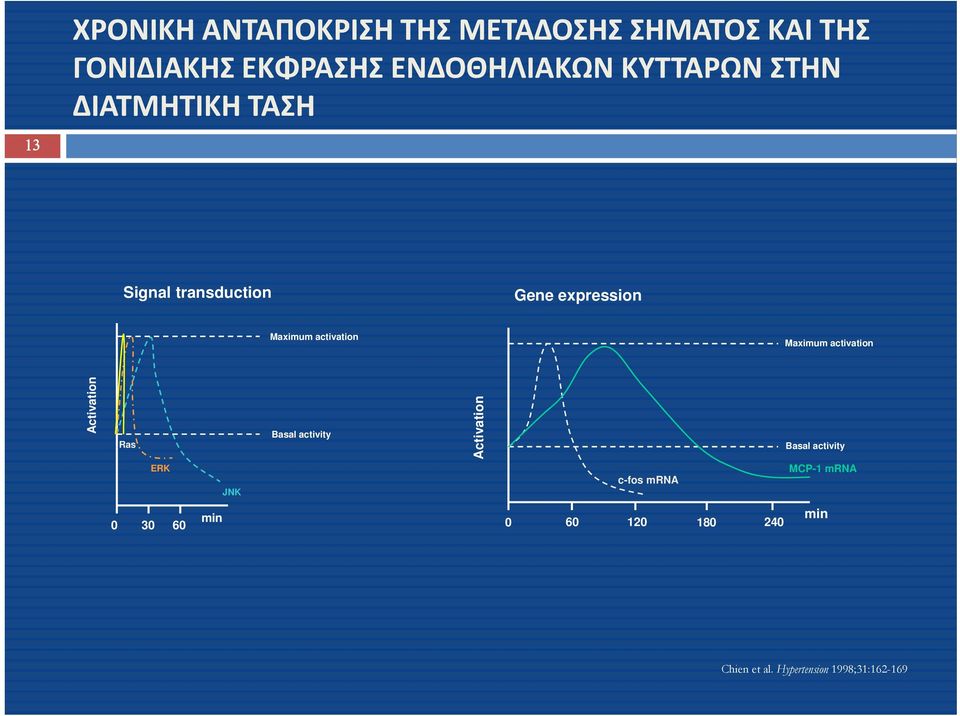 Maximum activation Activation Ras Basal activity Ac ctivation Basal activity ERK JNK