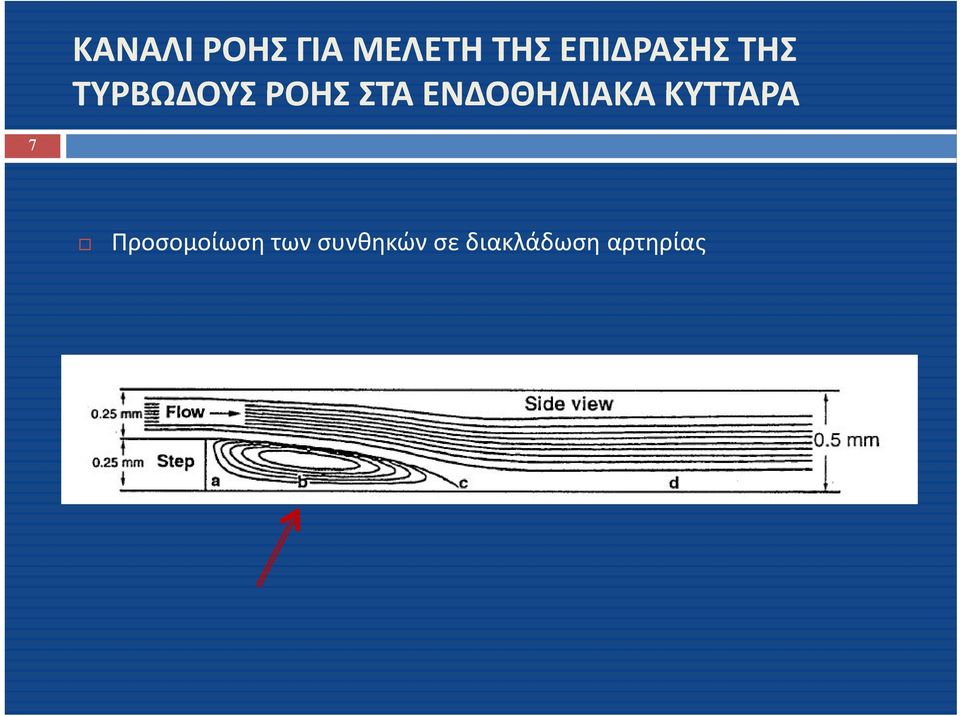 ΕΝΔΟΘΗΛΙΑΚΑ ΚΥΤΤΑΡΑ 7