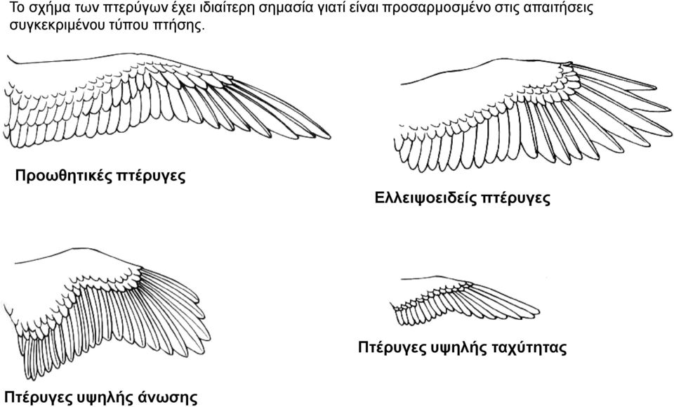 τύπου πτήσης.