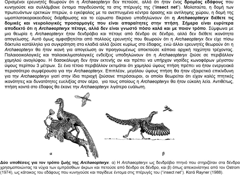 Archaeopteryx διέθετε τις δομικές και νευρολογικές προσαρμογές που είναι απαραίτητες στην πτήση.