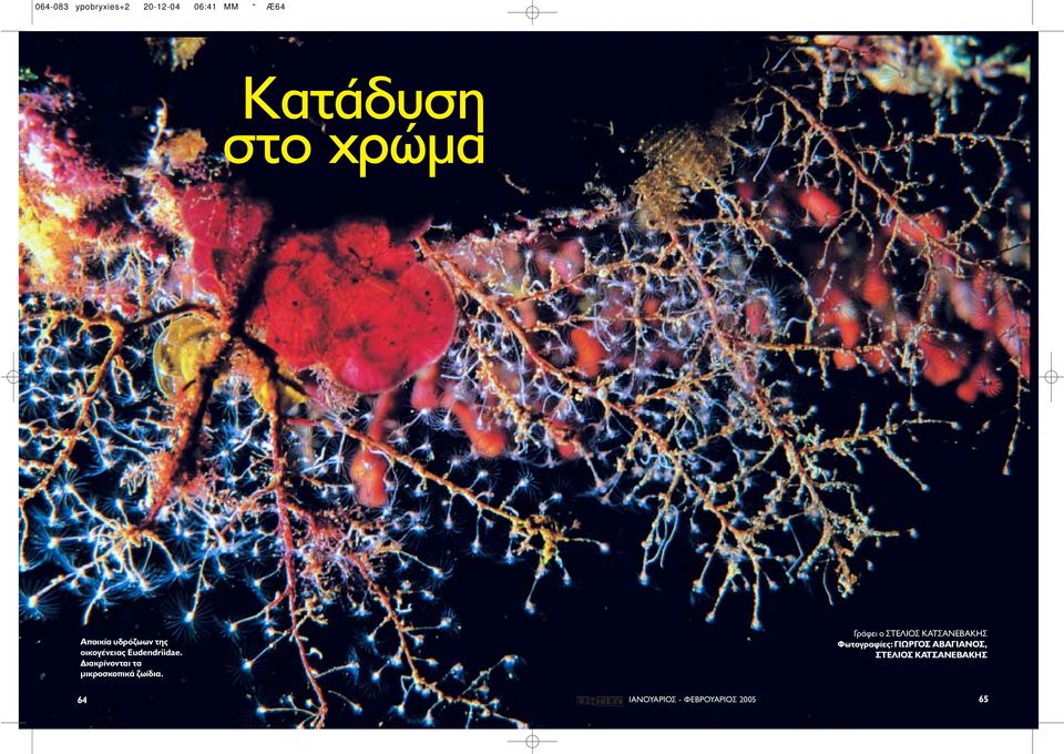 ιακρίνονται τα µικροσκοπικά ζωίδια.