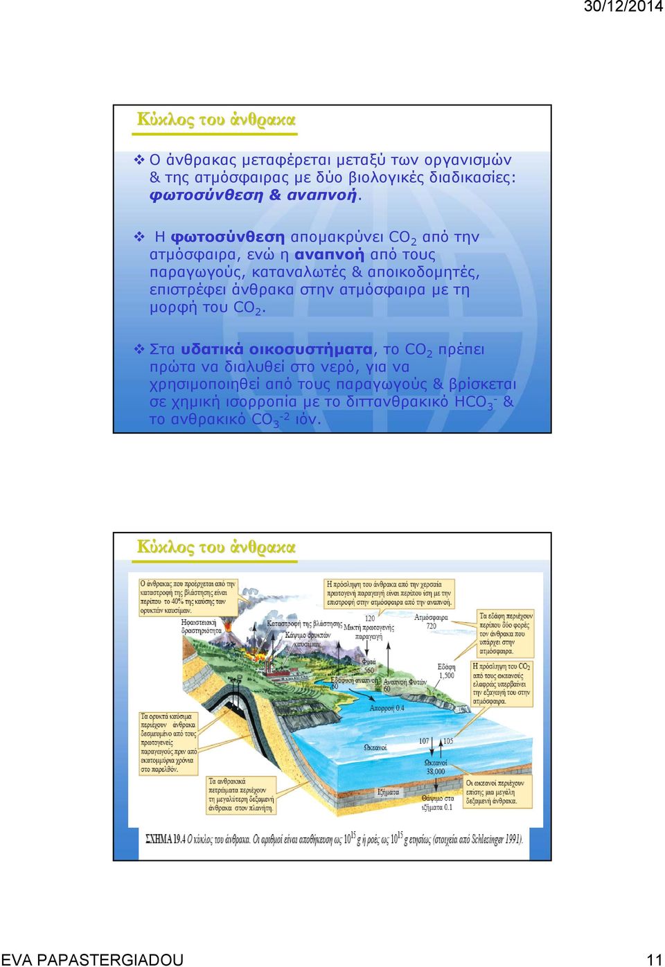 στην ατμόσφαιρα με τη μορφή του CO 2.