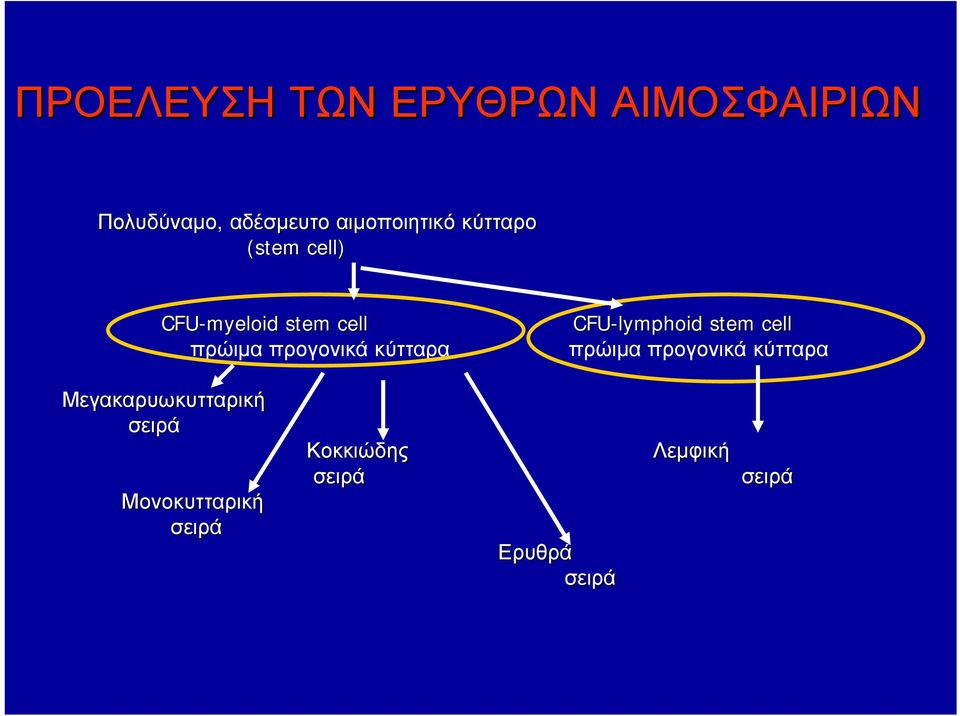 stem cell πρώιμα προγονικά κύτταρα πρώιμα προγονικά κύτταρα