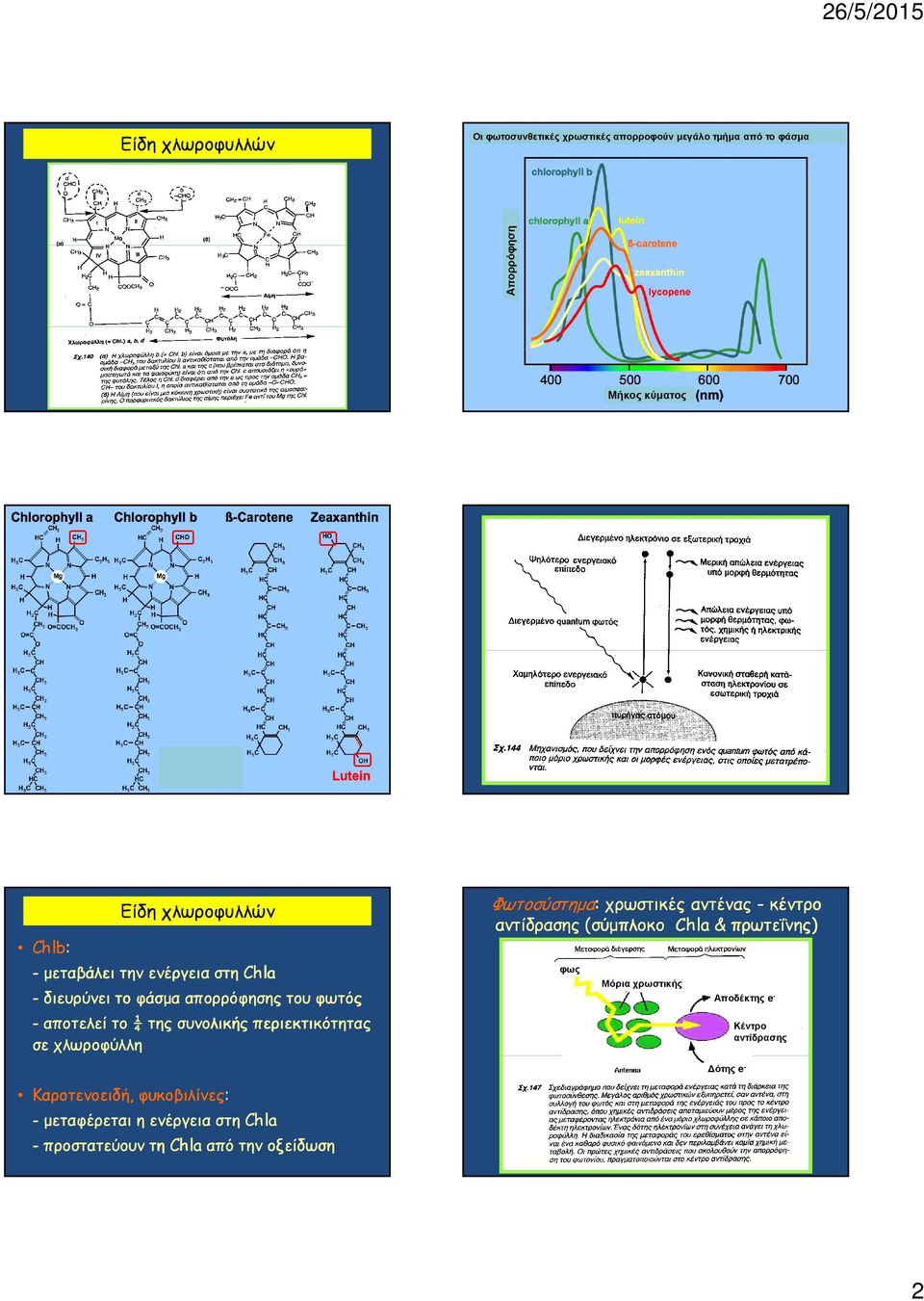 περιεκτικότητας σε χλωροφύλλη Φωτοσύστηµα: : χρωστικές αντένας - κέντρο αντίδρασης (σύµπλοκο Chla & πρωτεΐνης) Μόρια χρωστικής