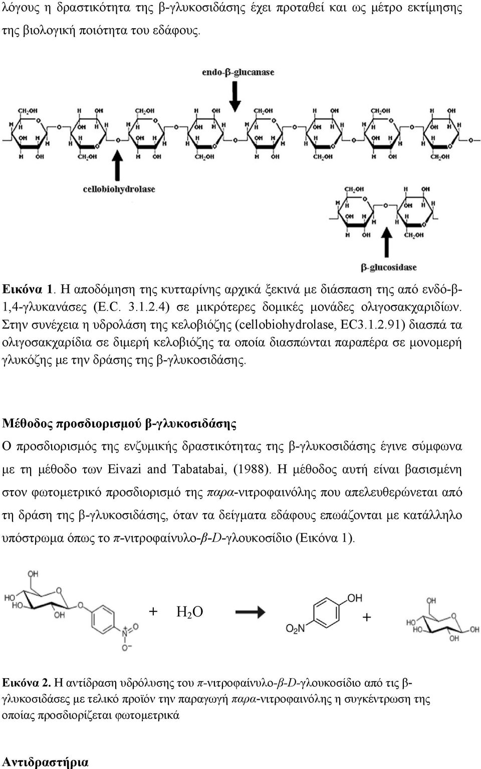 Στην συνέχεια η υδρολάση της κελοβιόζης (cellobiohydrolase, EC3.1.2.