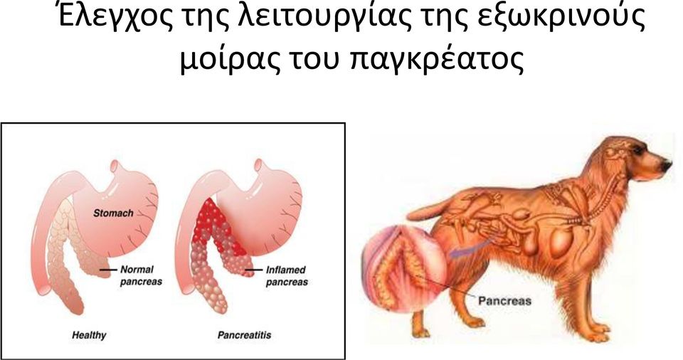 της εξωκρινούς