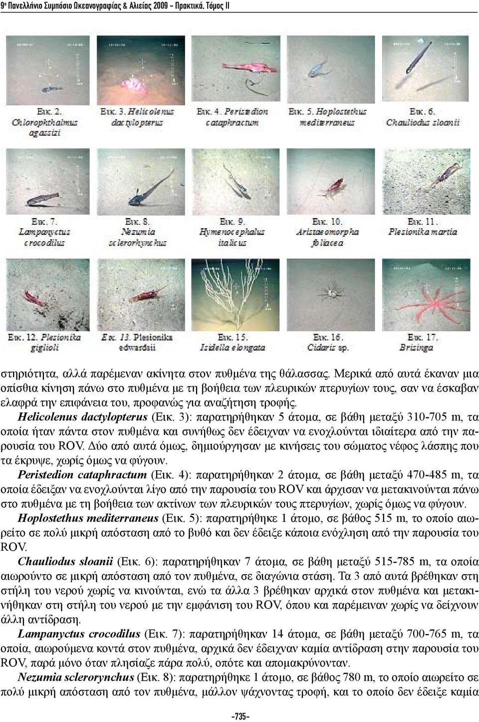 Helicolenus dactylopterus (Εικ. 3): παρατηρήθηκαν 5 άτομα, σε βάθη μεταξύ 310-705 m, τα οποία ήταν πάντα στον πυθμένα και συνήθως δεν έδειχναν να ενοχλούνται ιδιαίτερα από την παρουσία του ROV.