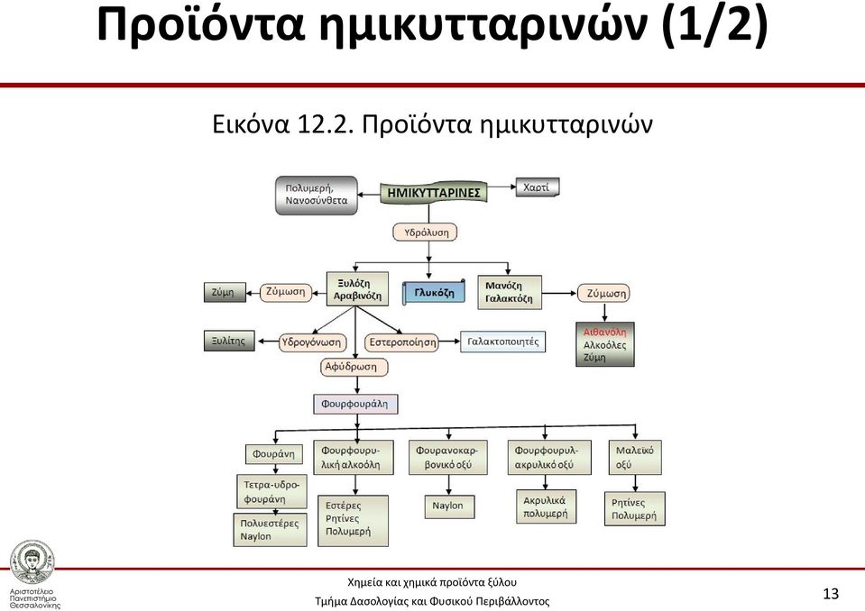 (1/2) Εικόνα 12.