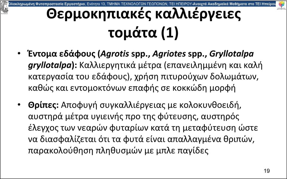 καθώς και εντομοκτόνων επαφής σε κοκκώδη μορφή Θρίπες: Αποφυγή συγκαλλιέργειας με κολοκυνθοειδή, αυστηρά μέτρα υγιεινής προ