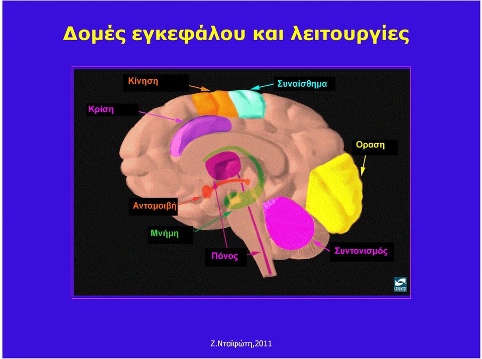 Συναίσθημα Κρίση Οραση