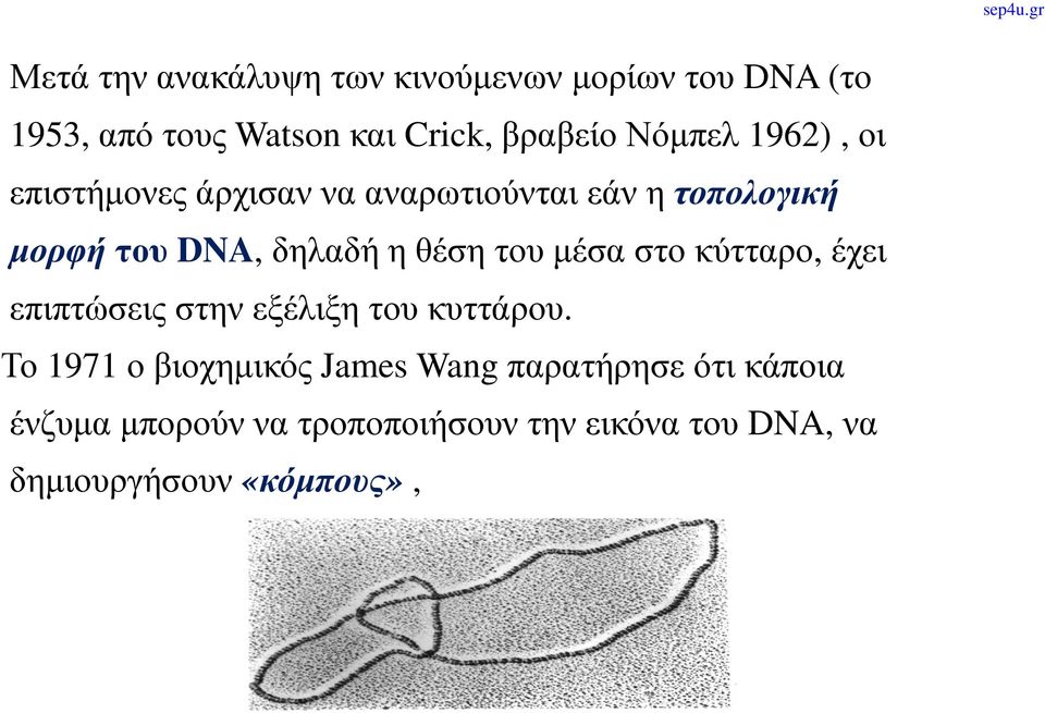 DNA,δηλαδήηθέσητουμέσαστοκύτταρο,έχει επιπτώσεις στην εξέλιξη του κυττάρου.