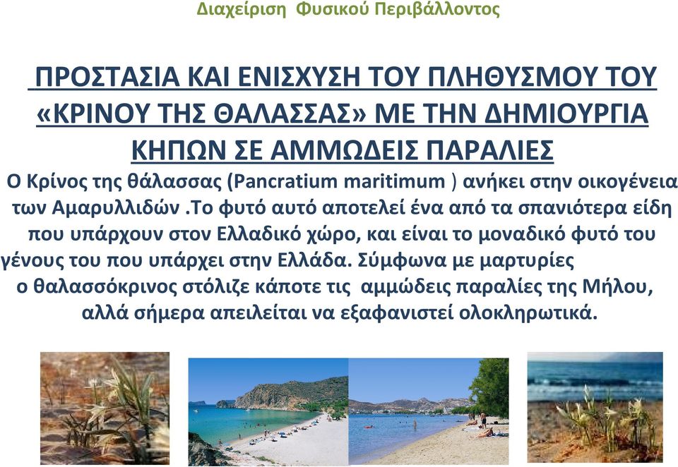 Το φυτό αυτό αποτελεί ένα από τα σπανιότερα είδη που υπάρχουν στον Ελλαδικό χώρο, και είναι το μοναδικό φυτό του γένους του που