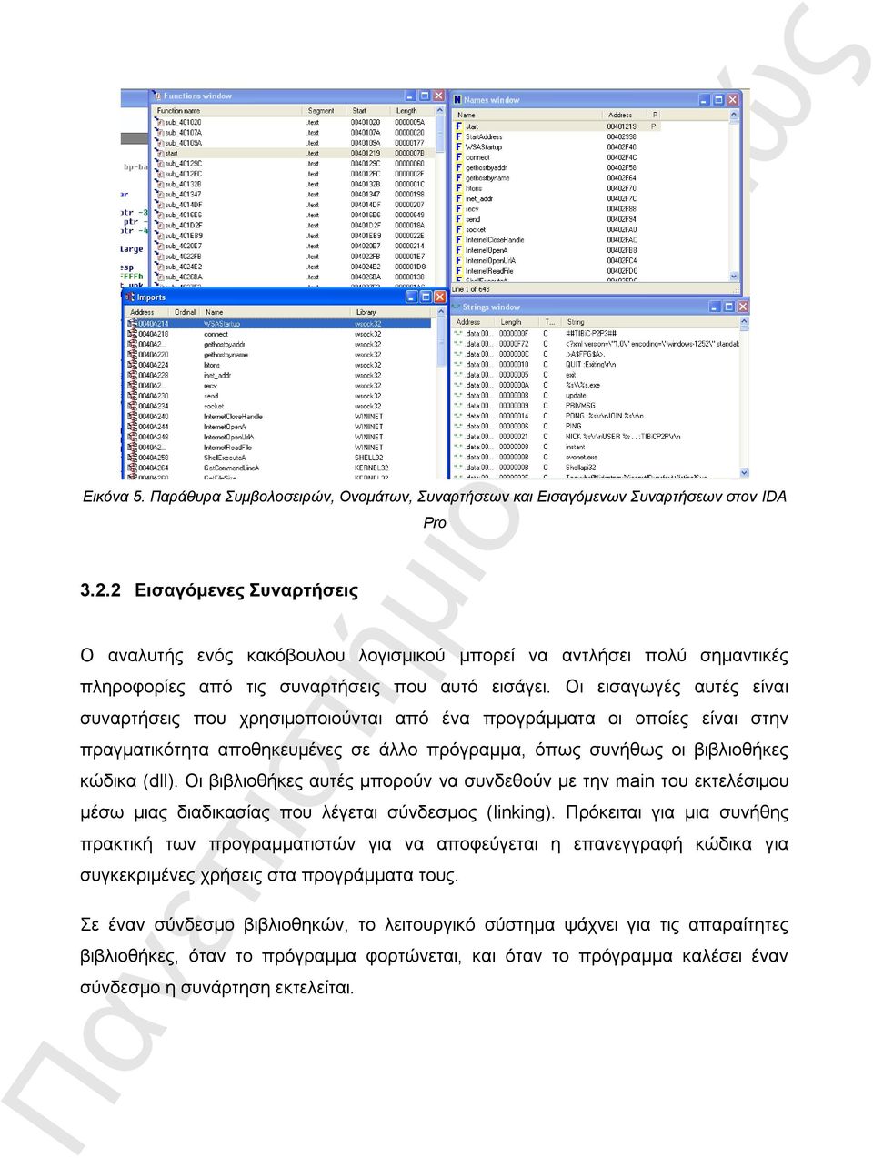 Οη εηζαγσγέο απηέο είλαη ζπλαξηήζεηο πνπ ρξεζηκνπνηνύληαη από έλα πξνγξάκκαηα νη νπνίεο είλαη ζηελ πξαγκαηηθόηεηα απνζεθεπκέλεο ζε άιιν πξόγξακκα, όπσο ζπλήζσο νη βηβιηνζήθεο θώδηθα (dll).