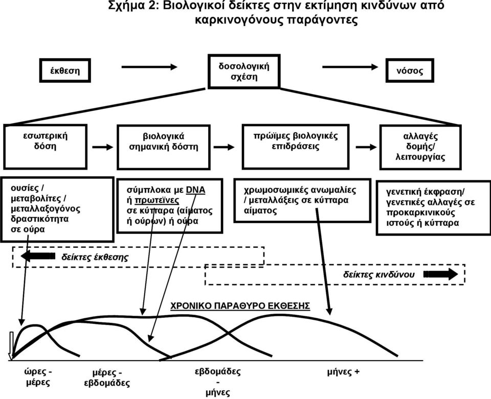 DNA ή πρωτεϊνες σε κύτταρα (αίµατος ή ούρων) ή ούρα χρωµοσωµικές ανωµαλίες / µεταλλάξεις σε κύτταρα αίµατος γενετική έκφραση/ γενετικές