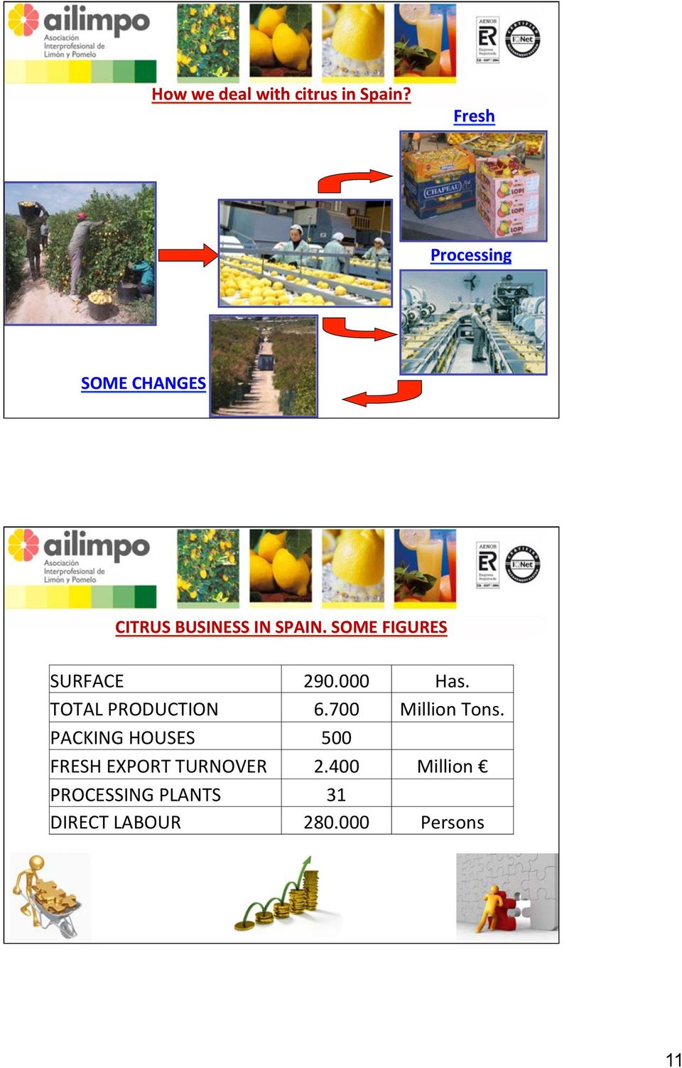 SOME FIGURES SURFACE 29. Has. TOTAL PRODUCTION 6.7 Million Tons.