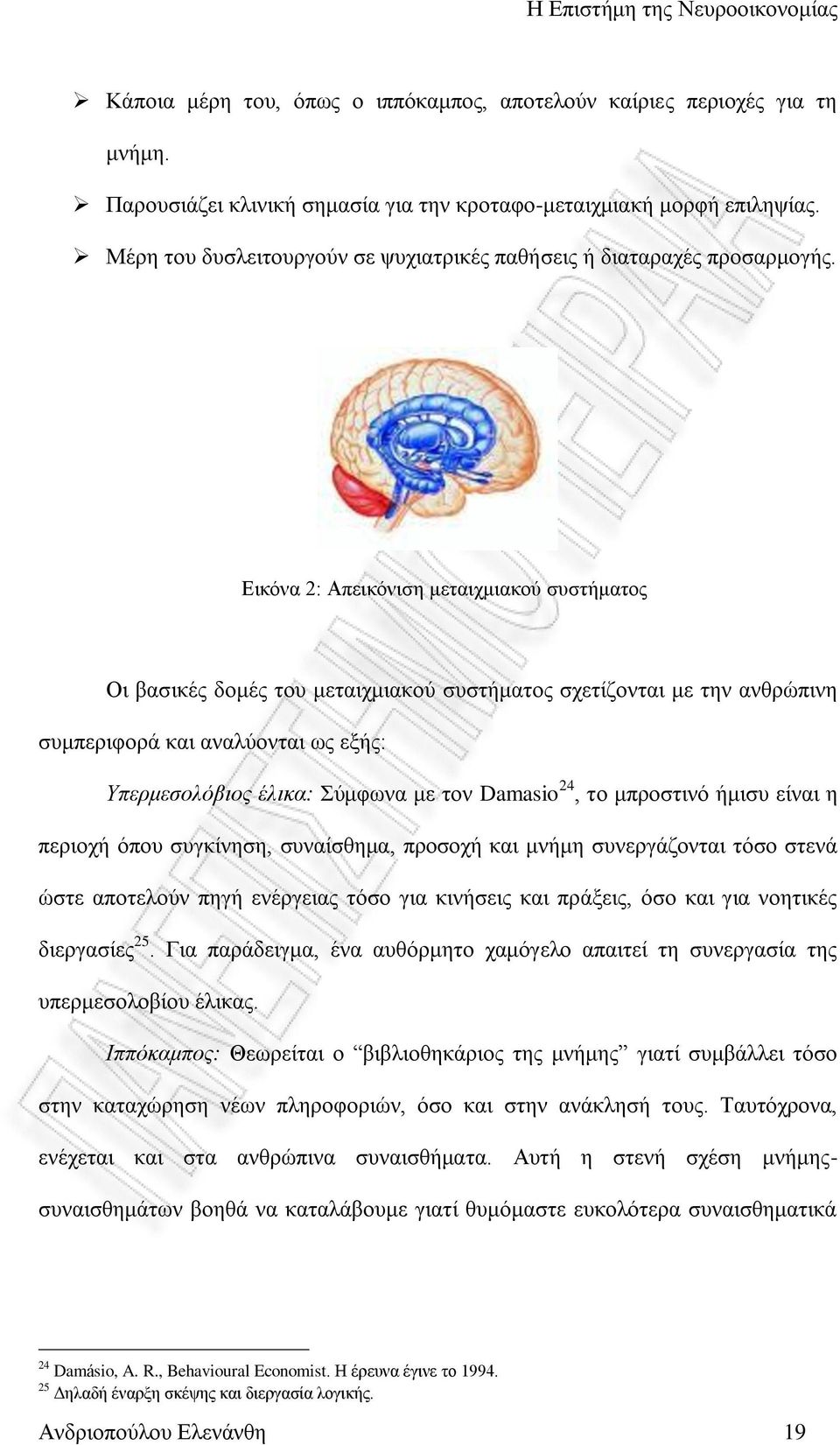 Δηθφλα 2: Απεηθφληζε κεηαηρκηαθνχ ζπζηήκαηνο Οη βαζηθέο δνκέο ηνπ κεηαηρκηαθνχ ζπζηήκαηνο ζρεηίδνληαη κε ηελ αλζξψπηλε ζπκπεξηθνξά θαη αλαιχνληαη σο εμήο: Υπεξκεζνιόβηνο έιηθα: χκθσλα κε ηνλ Damasio