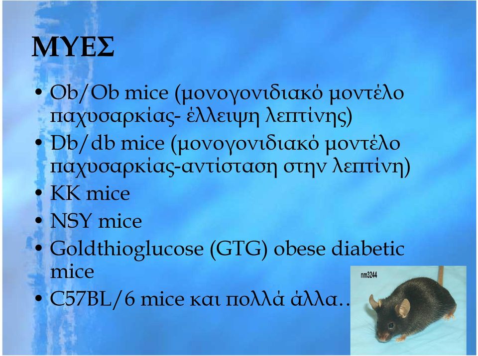 παχυσαρκίας-αντίσταση στην λεπτίνη) KK mice NSY mice