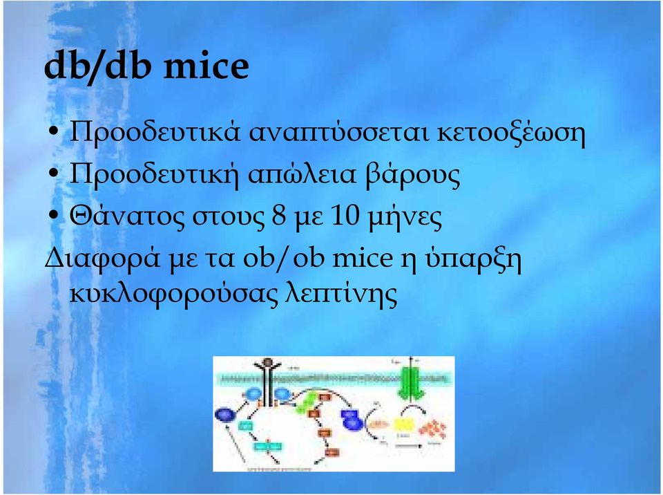 Θάνατος στους 8 με 10 μήνες Διαφορά με