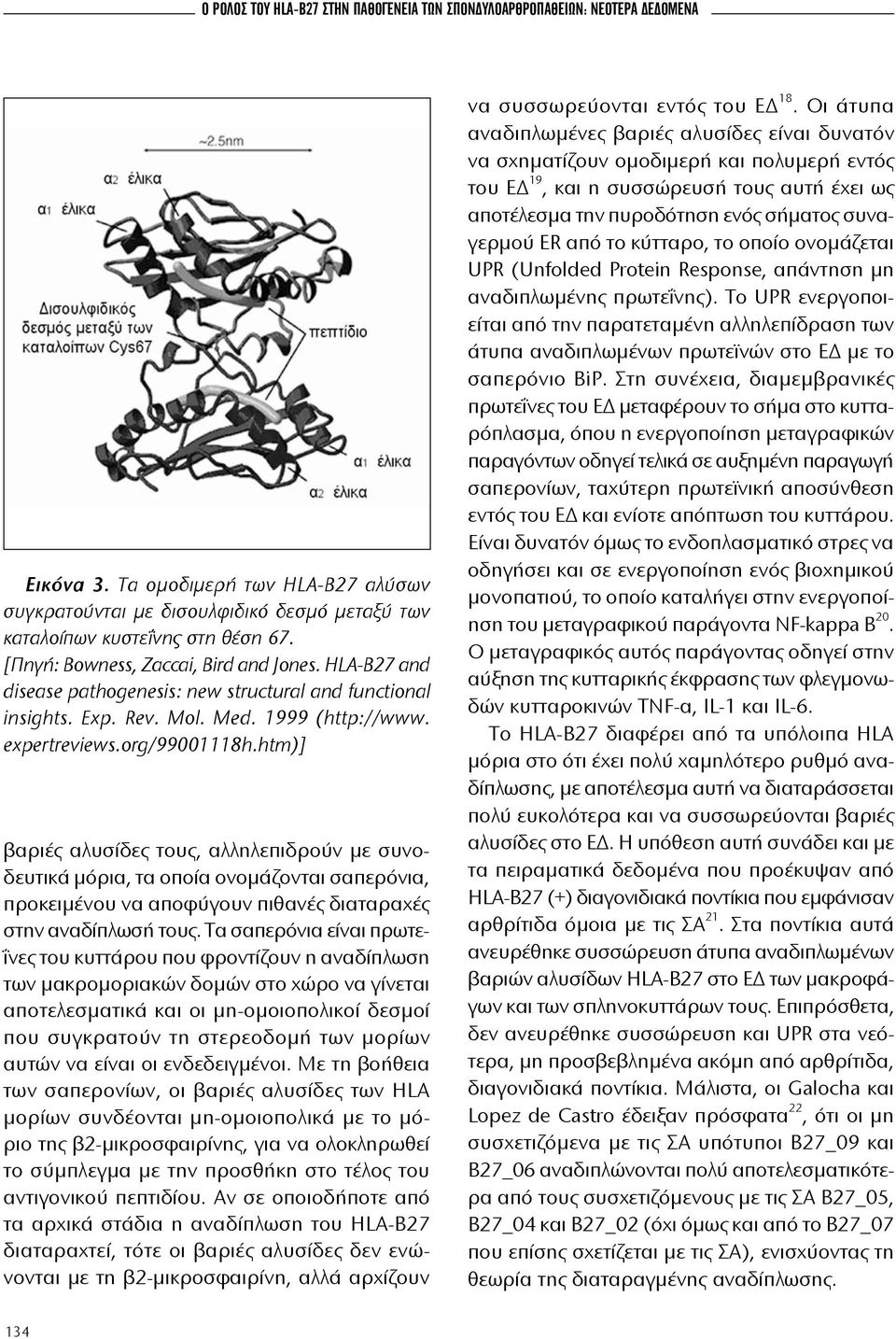 HLA-B27 and disease pathogenesis: new structural and functional insights. Exp. Rev. Mol. Med. 1999 (http://www. expertreviews.org/99001118h.